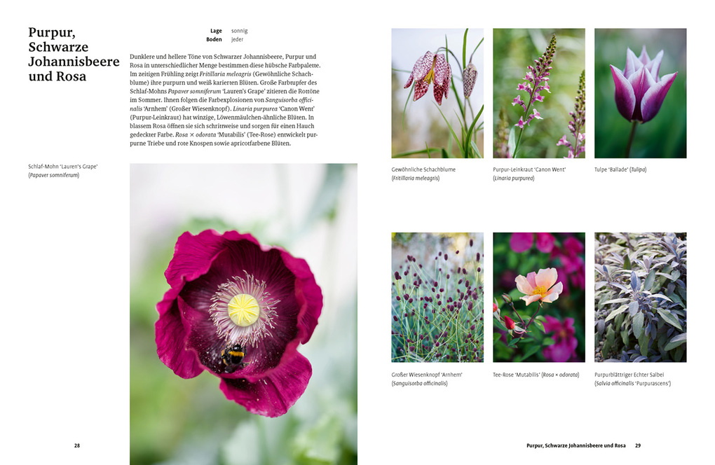 Weitere Ansicht: Grün in allen Farben | Lucy Bellamy