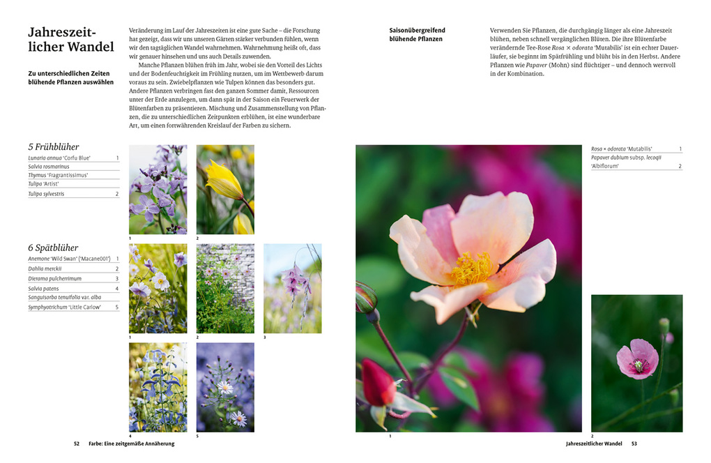 Weitere Ansicht: Grün in allen Farben | Lucy Bellamy