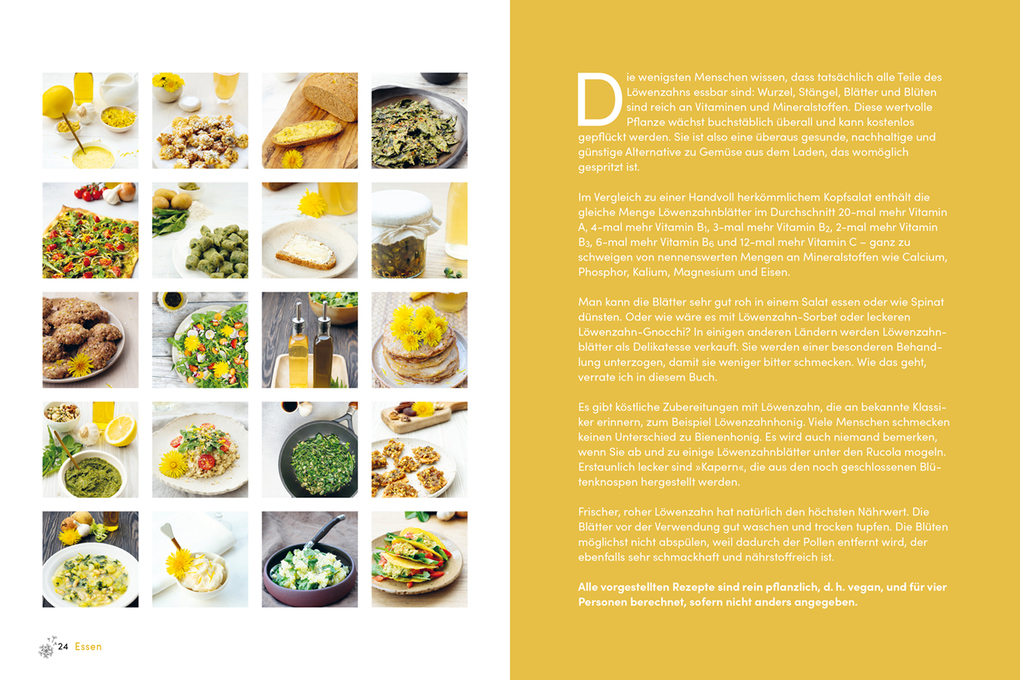 Weitere Ansicht: Löwenzahn | Natasja van der Meer