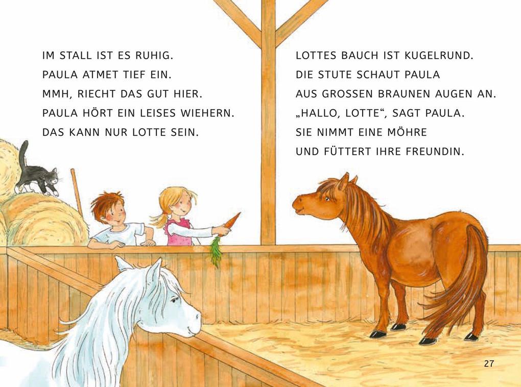 Weitere Ansicht: Leseprofis - GROSSBUCHSTABEN: EIN FOHLEN NAMENS SCHNUPPE, 1. Klasse | Usch Luhn