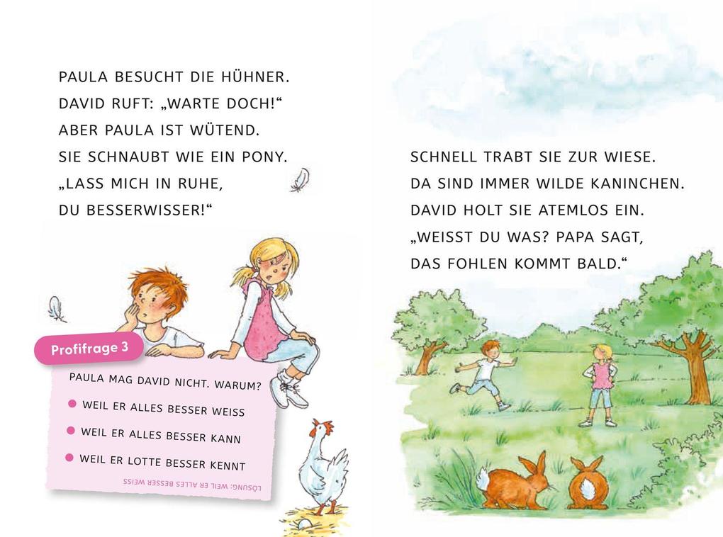 Weitere Ansicht: Leseprofis - GROSSBUCHSTABEN: EIN FOHLEN NAMENS SCHNUPPE, 1. Klasse | Usch Luhn