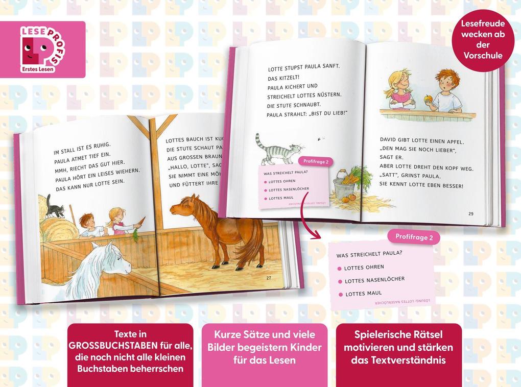 Weitere Ansicht: Leseprofis - GROSSBUCHSTABEN: EIN FOHLEN NAMENS SCHNUPPE, 1. Klasse | Usch Luhn