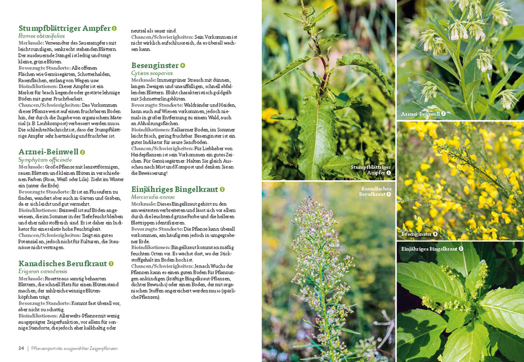 Weitere Ansicht: Pflanzengeflüster | Jean-Michel Groult