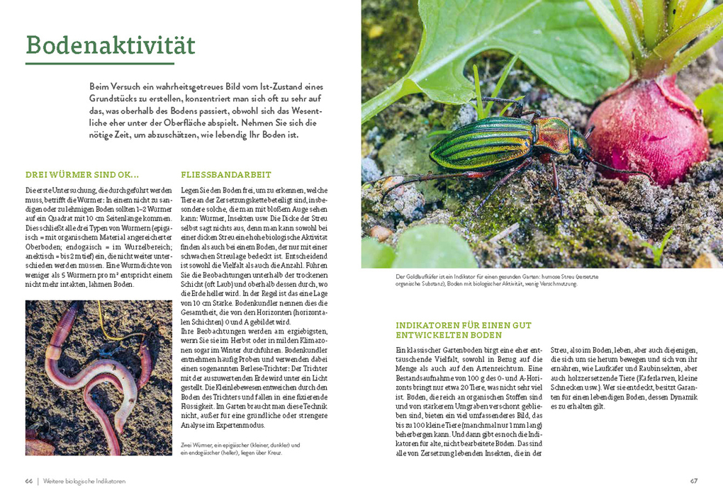 Weitere Ansicht: Pflanzengeflüster | Jean-Michel Groult