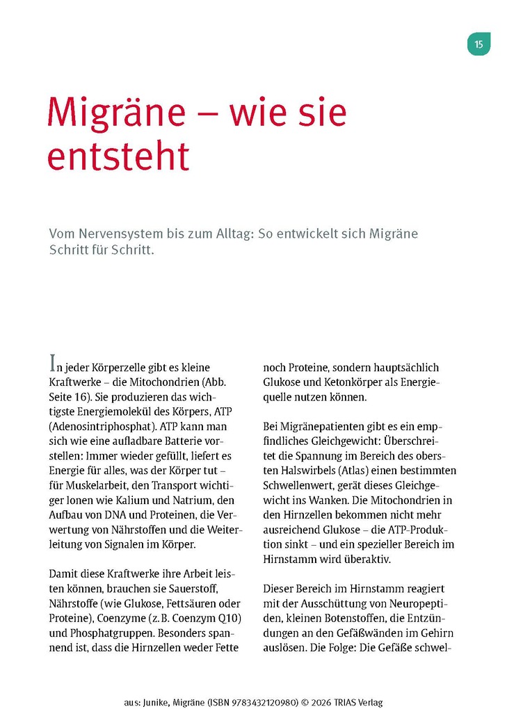 Weitere Ansicht: Naturheilpraxis Migräne | Kathrin-Lisa Junike