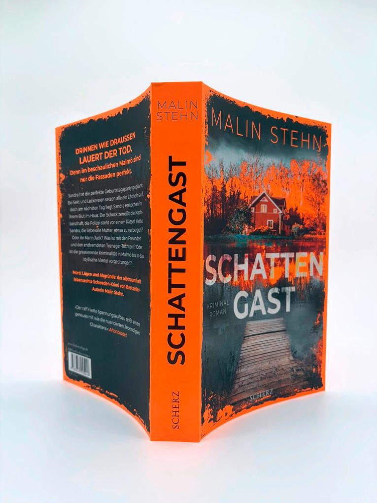 Weitere Ansicht: Schattengast | Malin Stehn