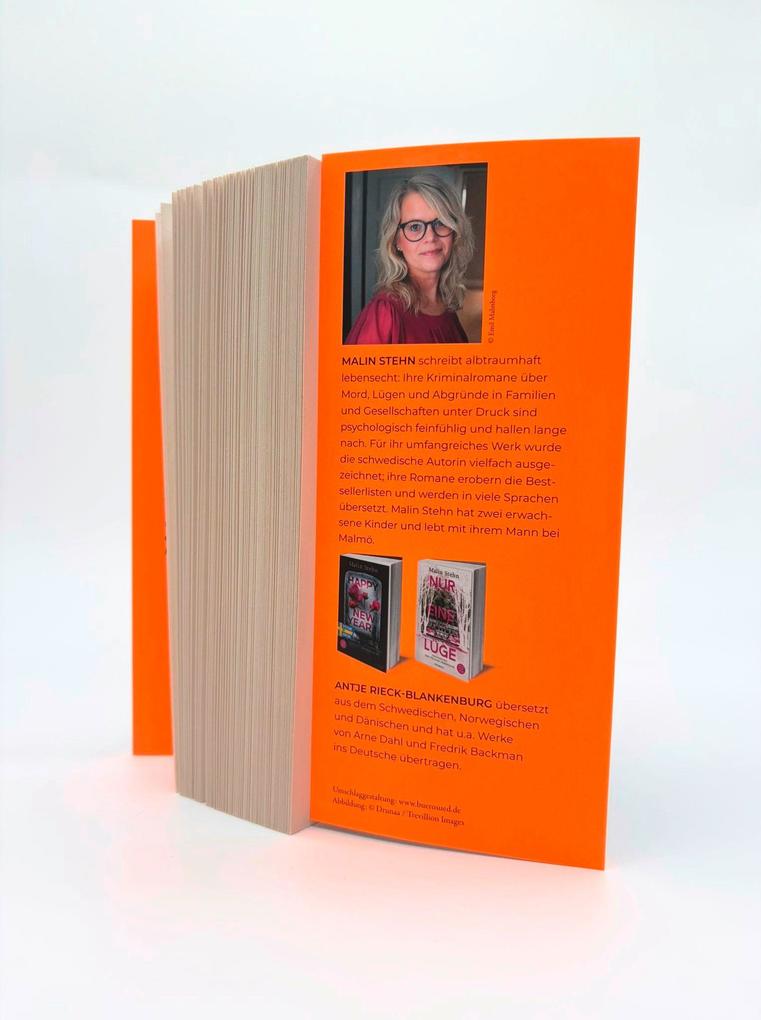 Weitere Ansicht: Schattengast | Malin Stehn