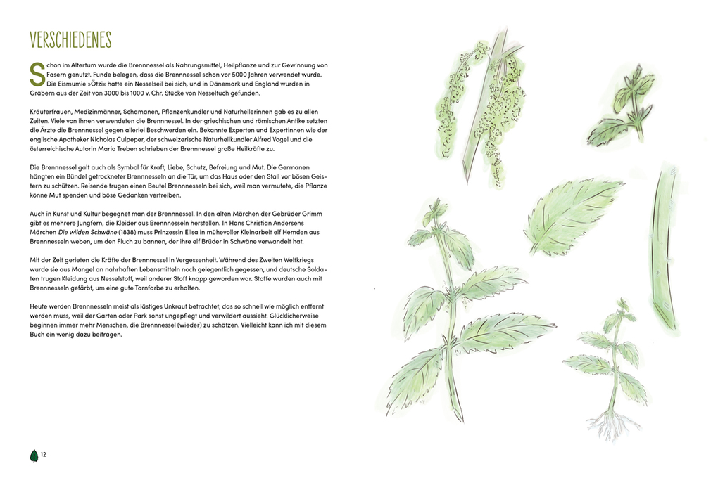 Weitere Ansicht: Brennnessel | Natasja van der Meer