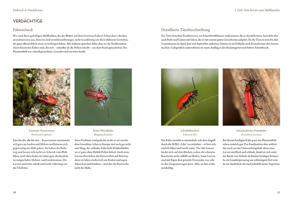 Weitere Ansicht: Mord im Nacktschnecken-Milieu | Elke Schwarzer