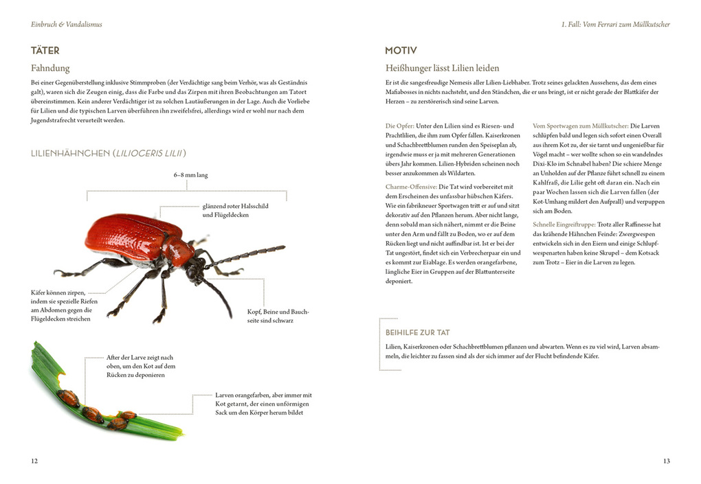 Weitere Ansicht: Mord im Nacktschnecken-Milieu | Elke Schwarzer