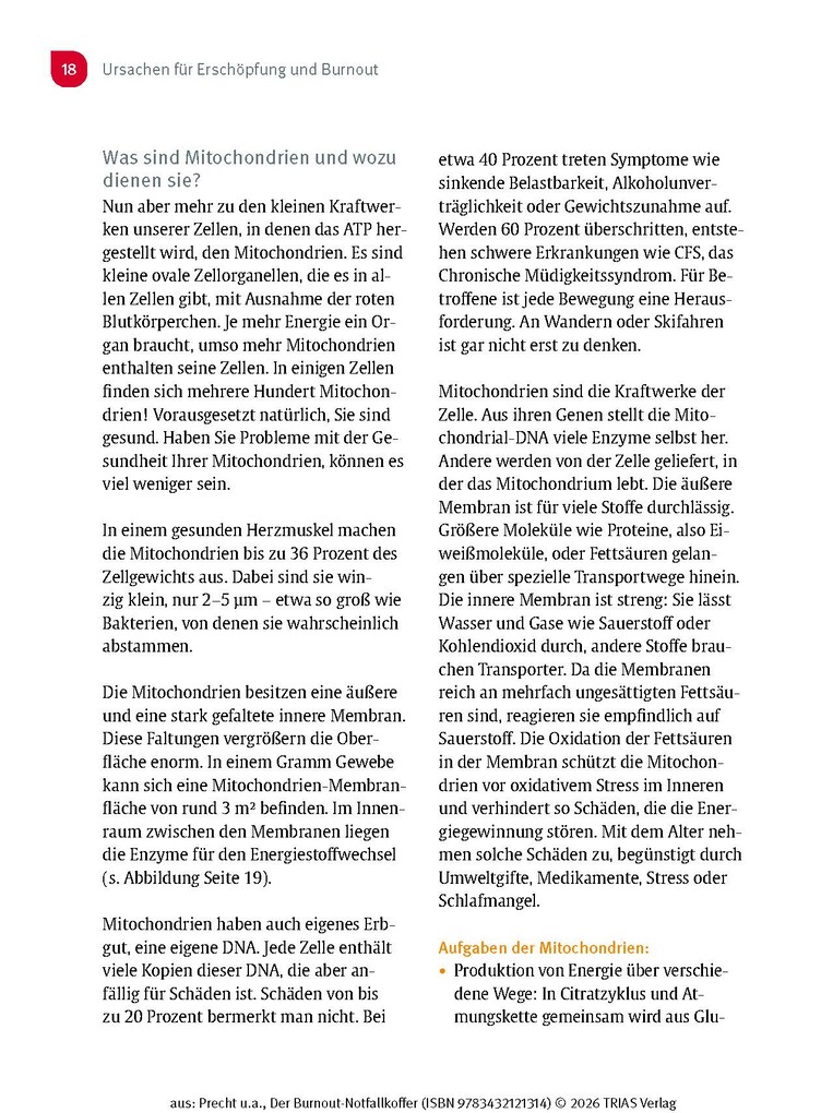 Weitere Ansicht: Der Burnout-Notfallkoffer | Anke Precht, Dorothee Siemon
