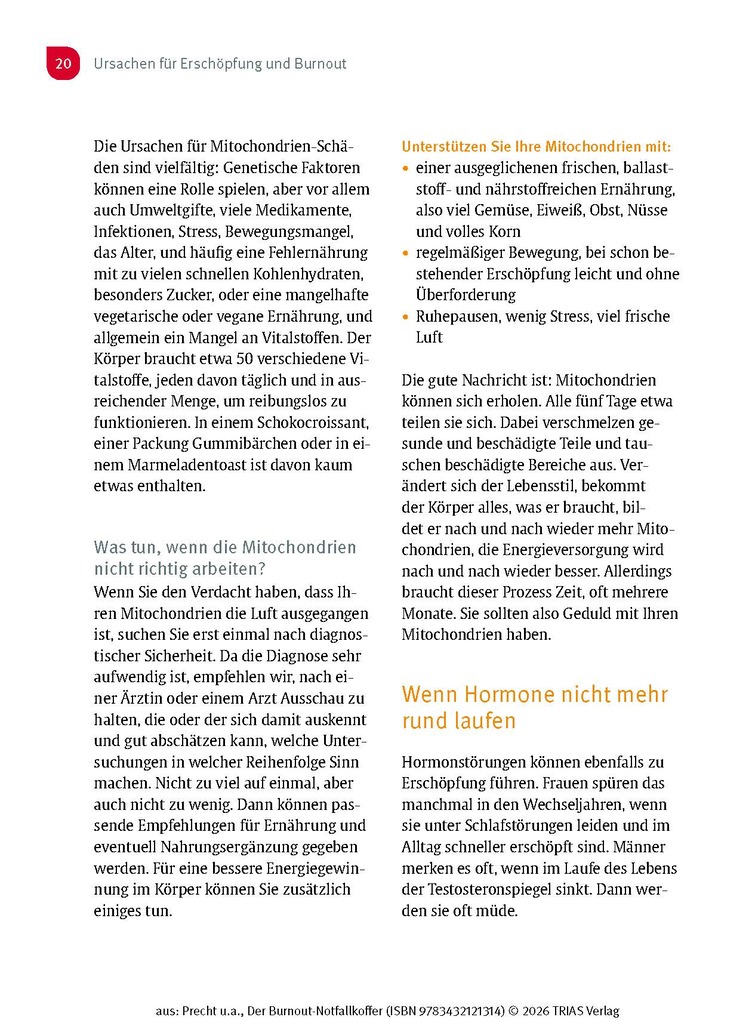 Weitere Ansicht: Der Burnout-Notfallkoffer | Anke Precht, Dorothee Siemon