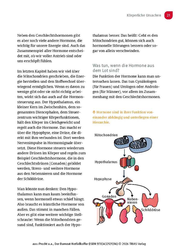 Weitere Ansicht: Der Burnout-Notfallkoffer | Anke Precht, Dorothee Siemon