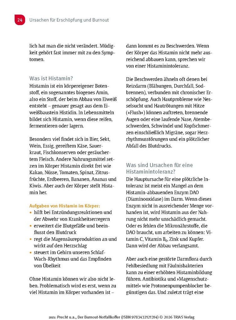 Weitere Ansicht: Der Burnout-Notfallkoffer | Anke Precht, Dorothee Siemon