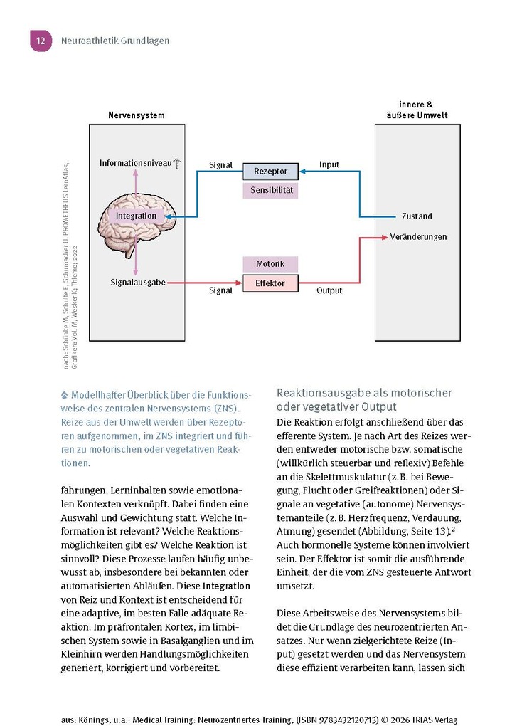 Weitere Ansicht: Medical Training: Neurozentriertes Training | Andreas Könings, Lisa Könings