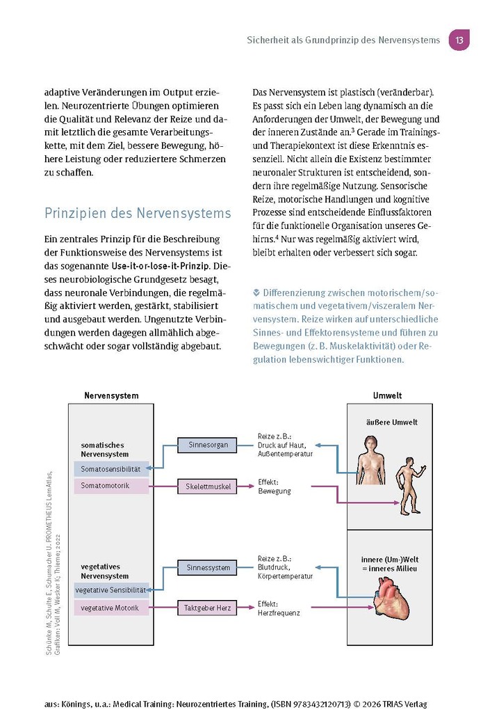 Weitere Ansicht: Medical Training: Neurozentriertes Training | Andreas Könings, Lisa Könings