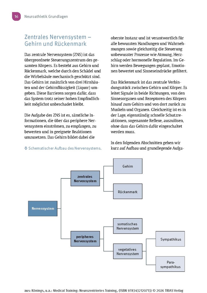 Weitere Ansicht: Medical Training: Neurozentriertes Training | Andreas Könings, Lisa Könings