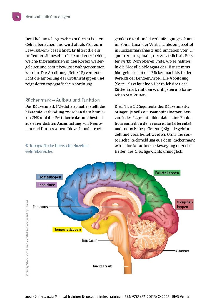 Weitere Ansicht: Medical Training: Neurozentriertes Training | Andreas Könings, Lisa Könings