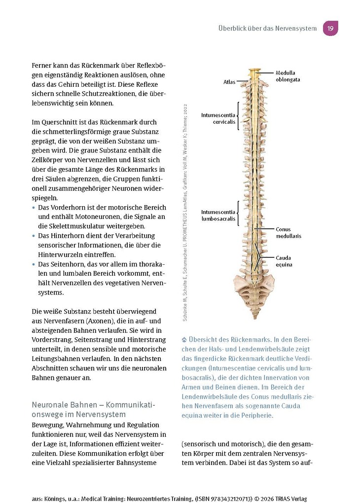 Weitere Ansicht: Medical Training: Neurozentriertes Training | Andreas Könings, Lisa Könings