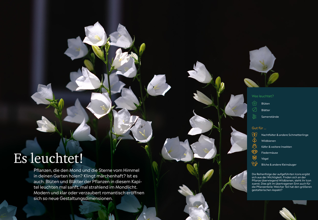 Weitere Ansicht: Der Nachtgarten | Lena Landefeld