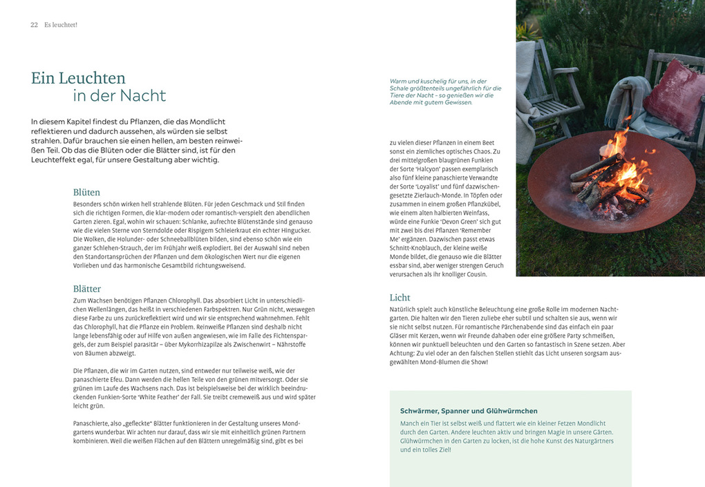 Weitere Ansicht: Der Nachtgarten | Lena Landefeld