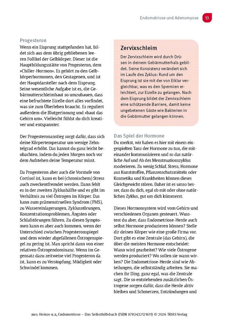 Weitere Ansicht: Endometriose - Das Selbsthilfebuch | Nicole R. Heinze, Annika Cost-Heil, Katharina Kubosch, Naila Rediske