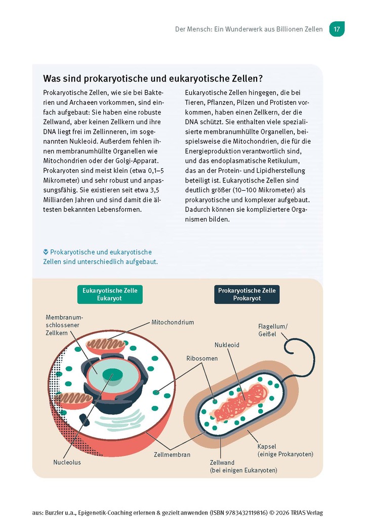 Weitere Ansicht: Epigenetik-Coaching erlernen & gezielt anwenden | Manuel Burzler, Timo Janisch