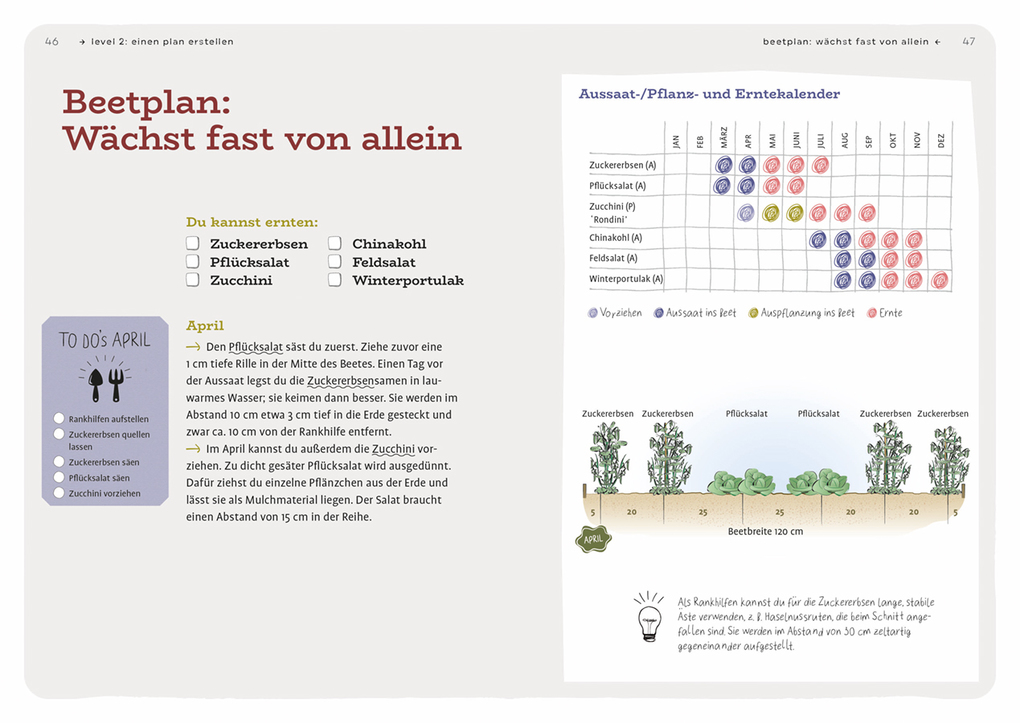 Weitere Ansicht: Dein Projekt. Dein Guide. Gärtnern mit Mischkultur | Christine Weidenweber