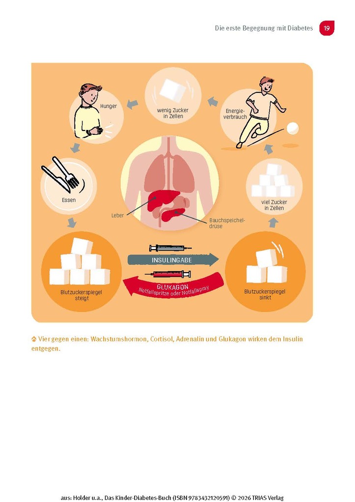 Weitere Ansicht: Das Kinder-Diabetes-Buch | Béla Bartus, Martin Holder