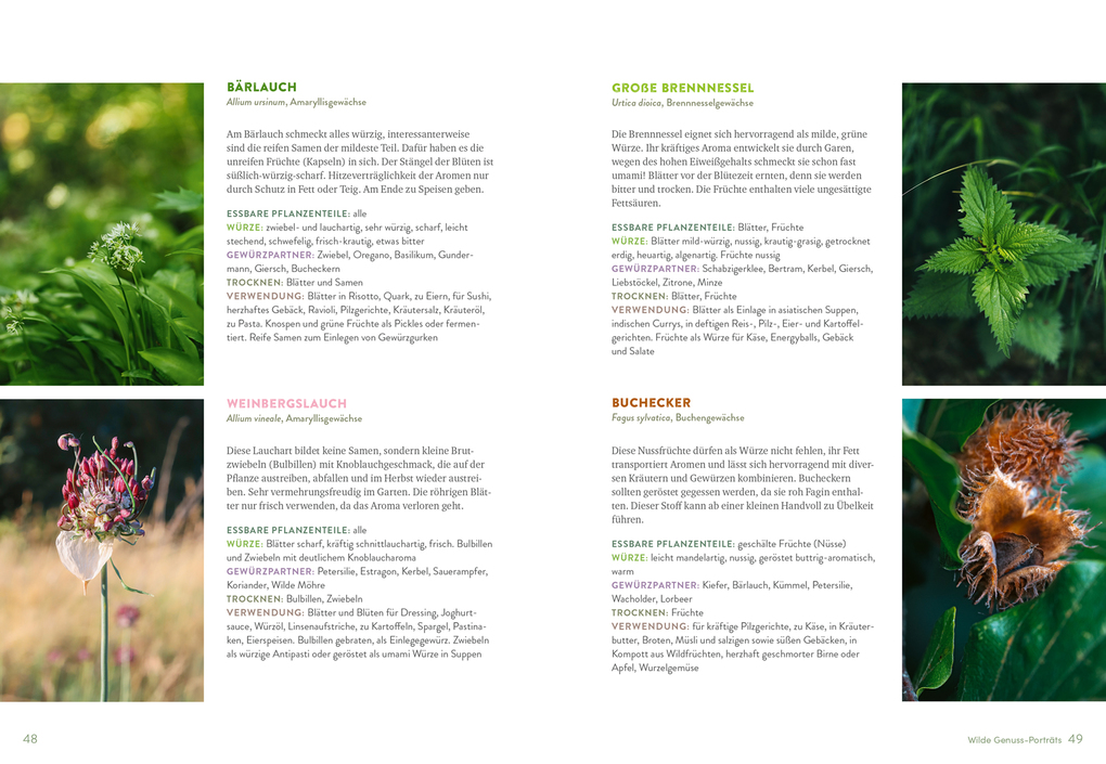 Weitere Ansicht: Wilde Würze | Christine Knauft