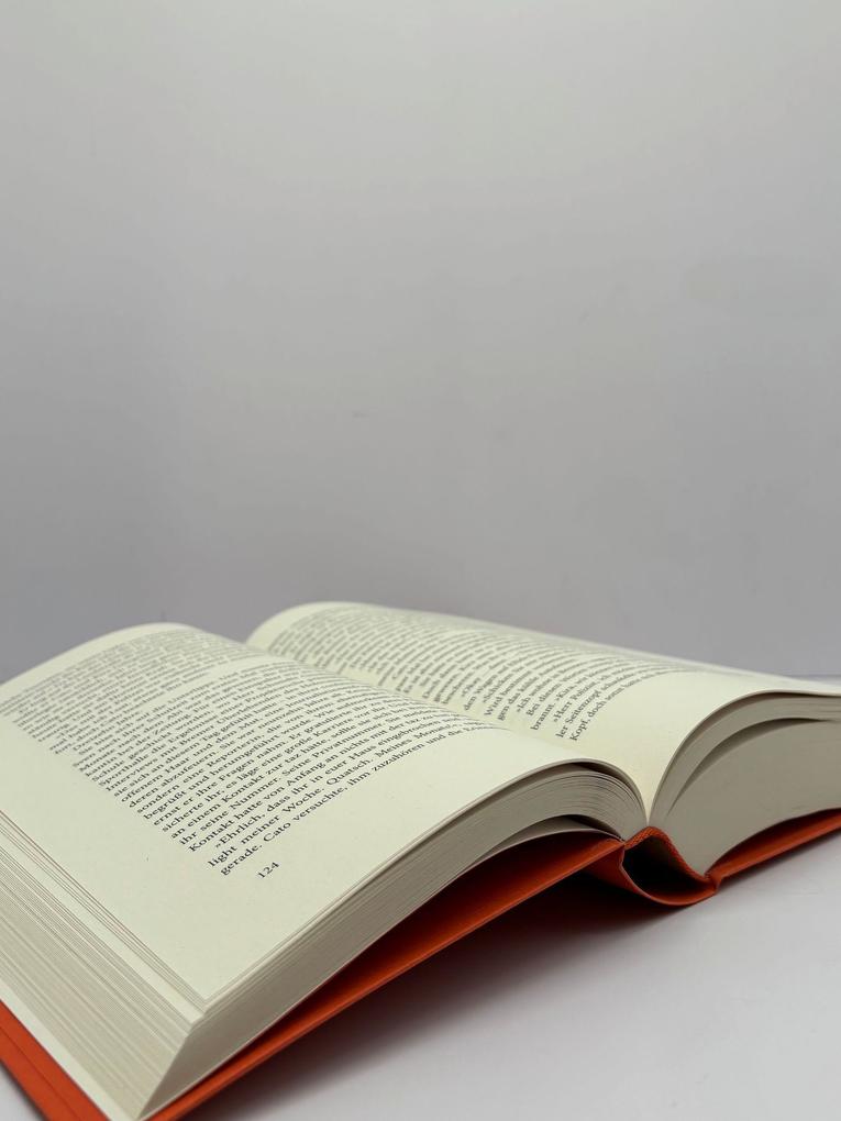 Weitere Ansicht: Spiegelland | Rebekka Frank