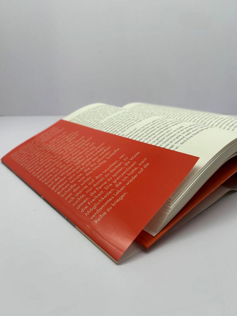 Weitere Ansicht: Spiegelland | Rebekka Frank