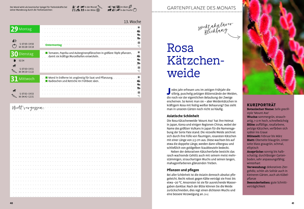 Weitere Ansicht: Ulmers Gartenkalender 2027