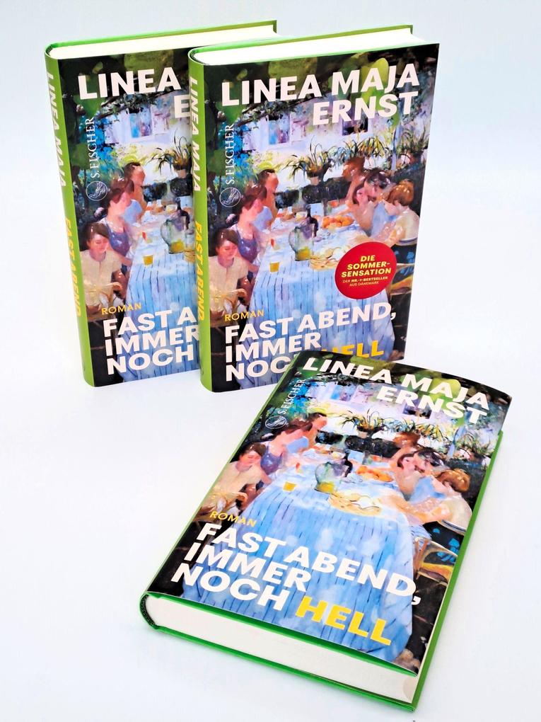 Weitere Ansicht: Fast Abend, immer noch hell | Linea Maja Ernst