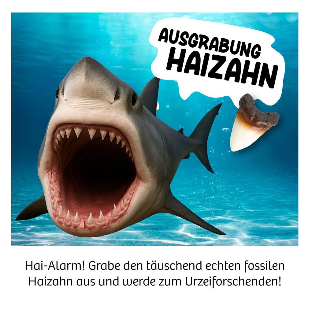 Weitere Ansicht: Ausgrabung Haizahn