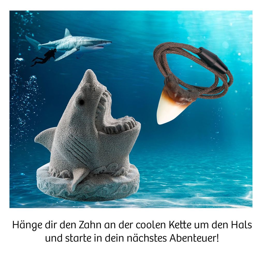 Weitere Ansicht: Ausgrabung Haizahn