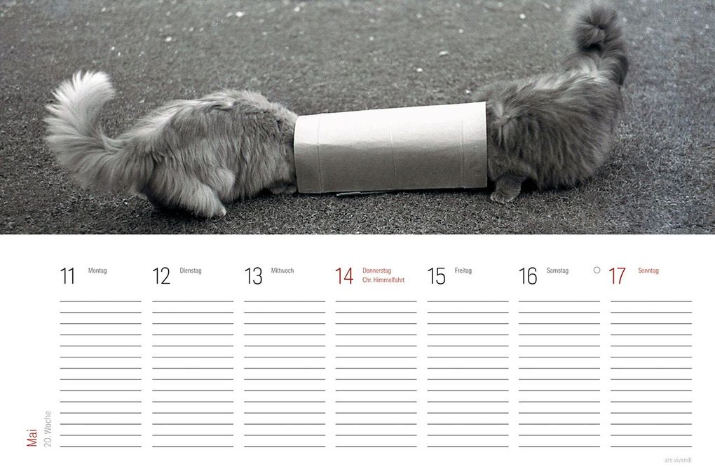 Weitere Ansicht: Tischkalender Katzen 2027 | Vivendi Ars, ars vivendi Verlag