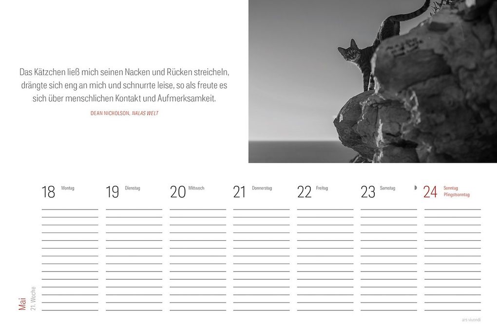 Weitere Ansicht: Tischkalender Katzen 2027 | Vivendi Ars, ars vivendi Verlag