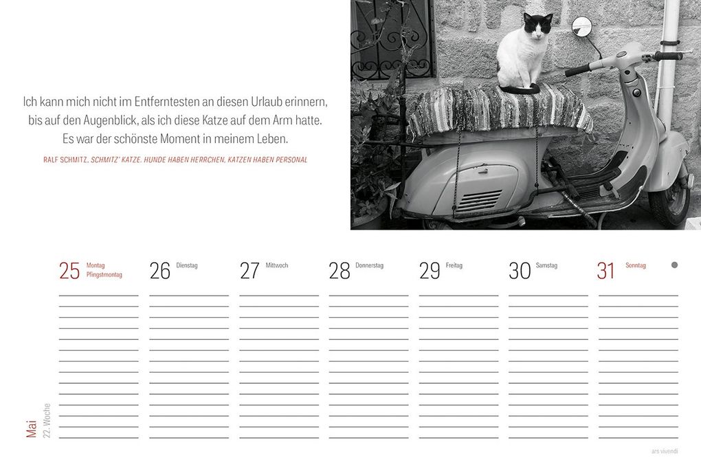 Weitere Ansicht: Tischkalender Katzen 2027 | Vivendi Ars, ars vivendi Verlag