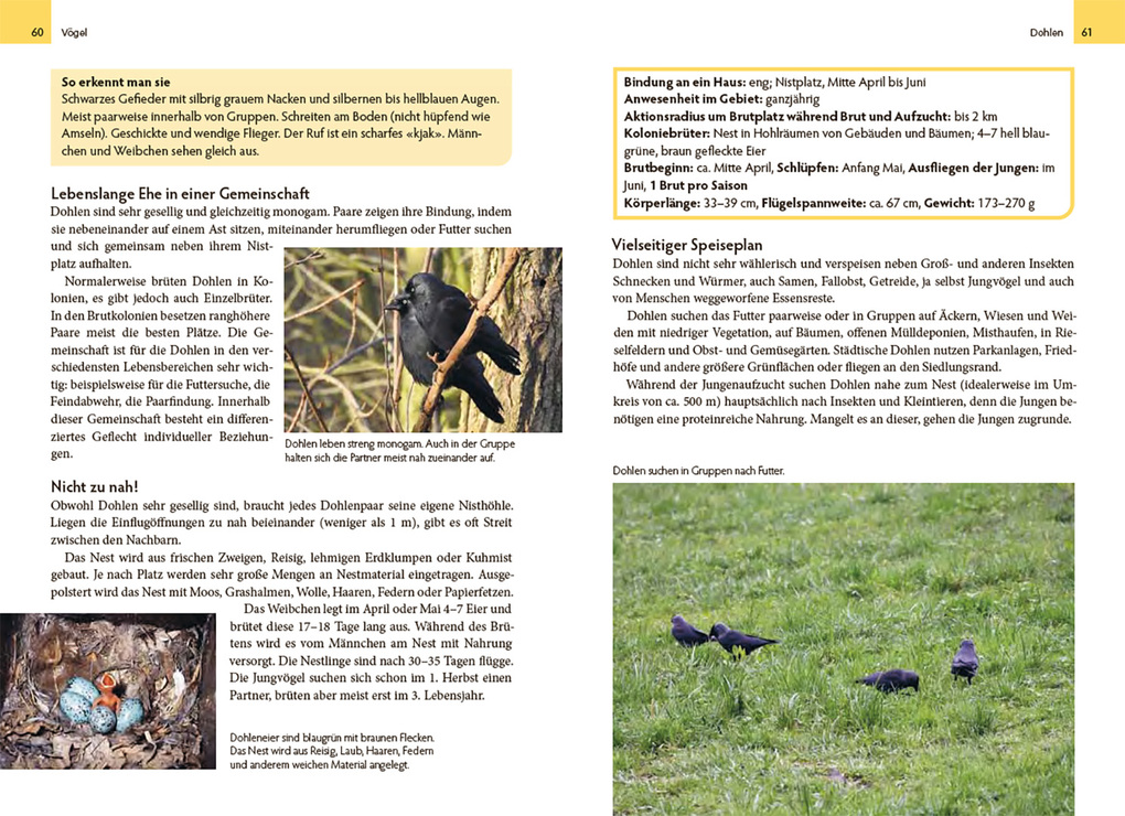Weitere Ansicht: Wildtiere am Haus | Michael Stocker, Sebastian Meyer, Iris Scholl