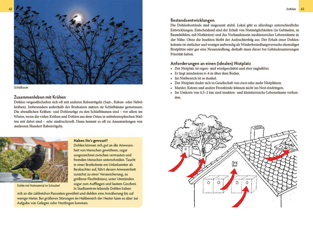 Weitere Ansicht: Wildtiere am Haus | Michael Stocker, Sebastian Meyer, Iris Scholl