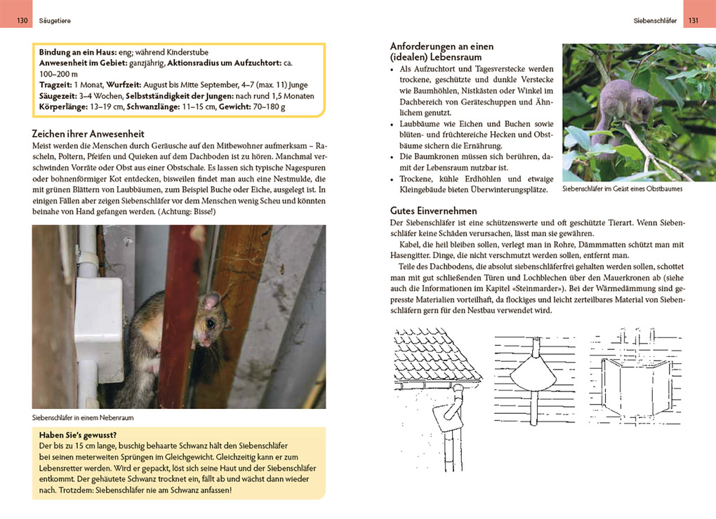 Weitere Ansicht: Wildtiere am Haus | Michael Stocker, Sebastian Meyer, Iris Scholl