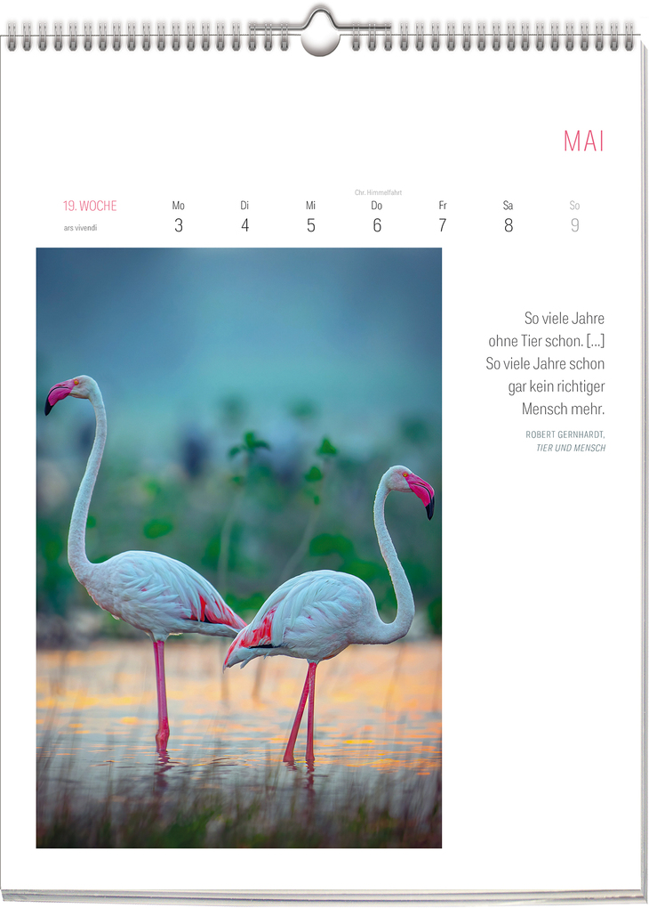 Weitere Ansicht: Literarischer Vogel Kalender 2027 | Vivendi Ars, ars vivendi Verlag