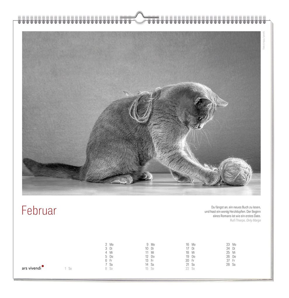Weitere Ansicht: Der grosse literarische Katzen Kalender 2027 | ars vivendi Verlag