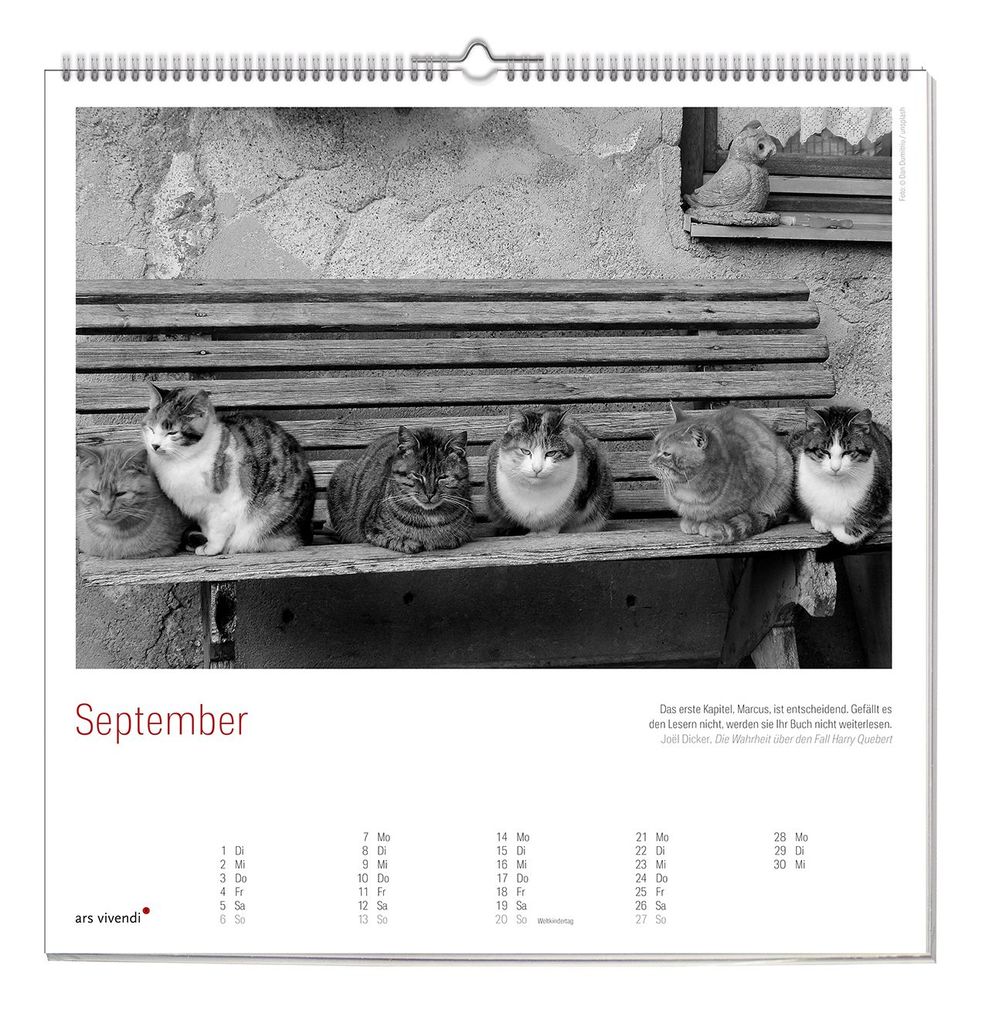 Weitere Ansicht: Der grosse literarische Katzen Kalender 2027 | ars vivendi Verlag