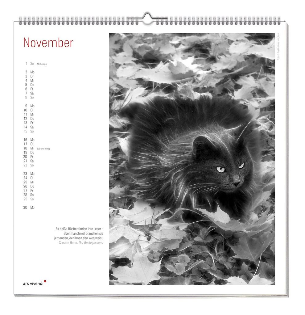 Weitere Ansicht: Der grosse literarische Katzen Kalender 2027 | ars vivendi Verlag