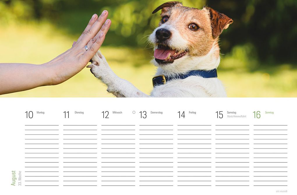 Weitere Ansicht: Tischkalender Hunde 2027 | Vivendi Ars, ars vivendi Verlag