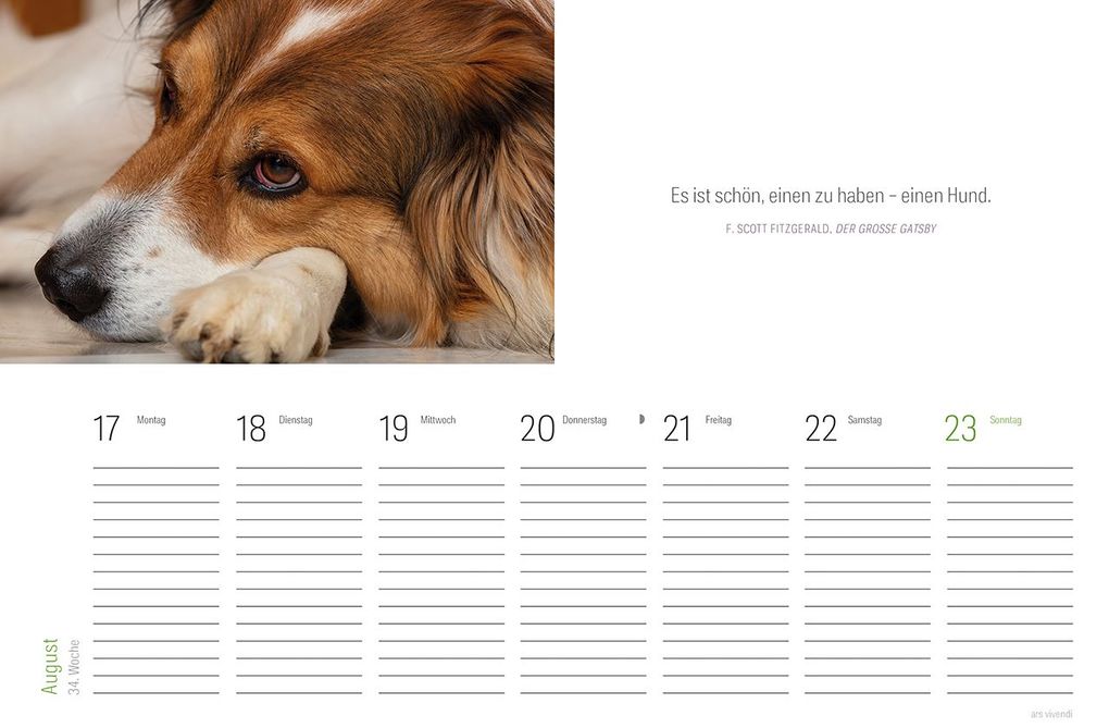 Weitere Ansicht: Tischkalender Hunde 2027 | Vivendi Ars, ars vivendi Verlag
