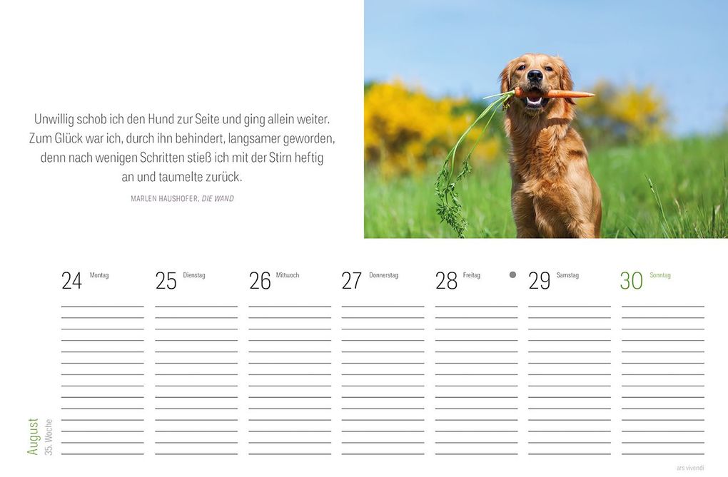 Weitere Ansicht: Tischkalender Hunde 2027 | Vivendi Ars, ars vivendi Verlag
