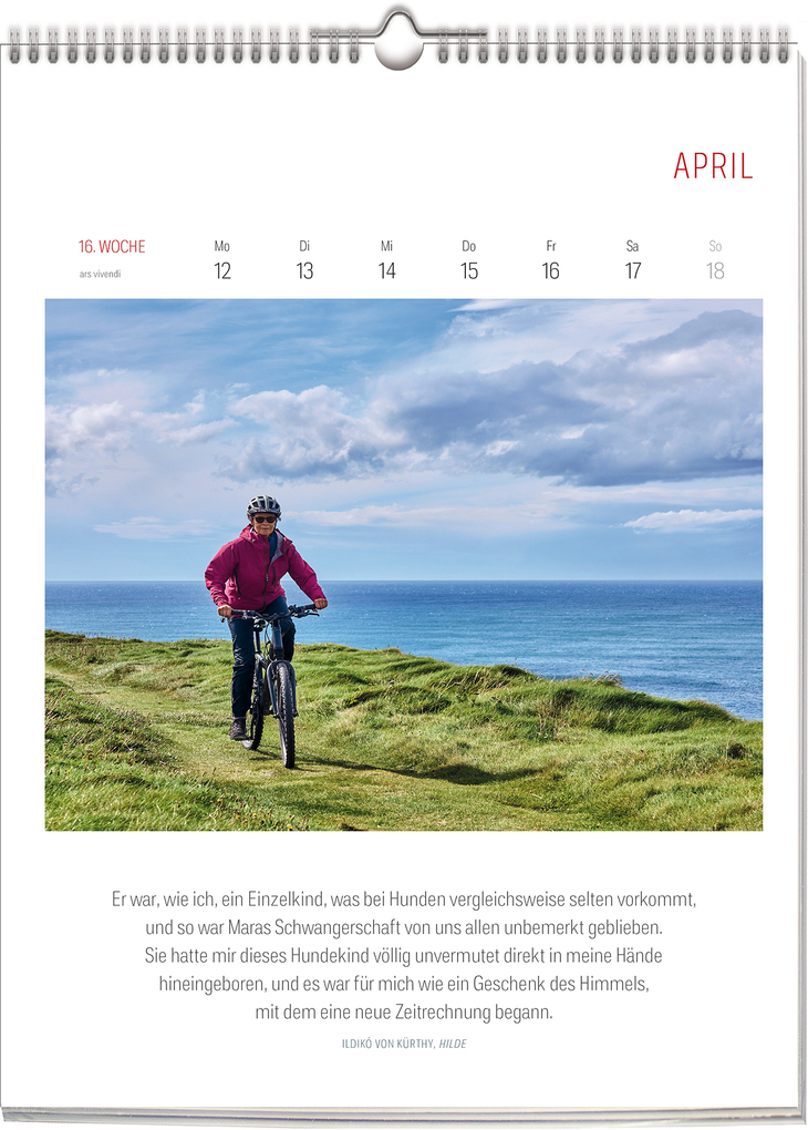 Weitere Ansicht: Literarischer Fahrrad Kalender 2027 | Vivendi Ars, ars vivendi Verlag